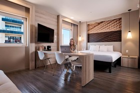 Ibis Torreon