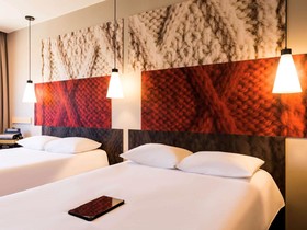 Ibis Torreon