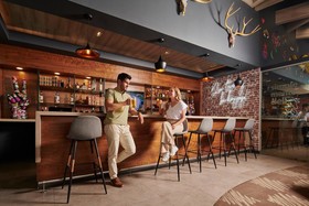 Ibis Torreon