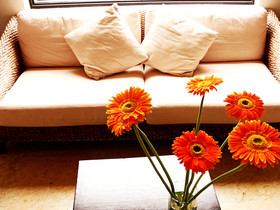 Palmareca Suites & Hotel