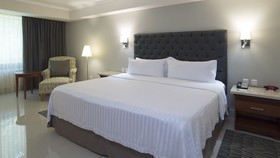 Holiday Inn Tuxtla Gutierrez
