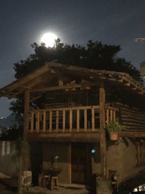 Xamikal