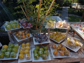 Grand Fiesta Americana Sumiya Cuernavaca