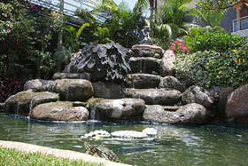 Holiday Inn Express & Suites Cuernavaca