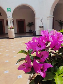 Hotel Catedral Cuernavaca