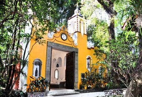 La Casa De Los Arboles