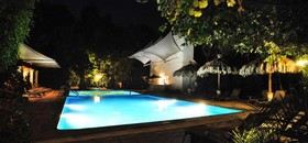 La Casa De Los Arboles