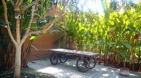 Orchidelirium Casa Hotel & Salud Estética