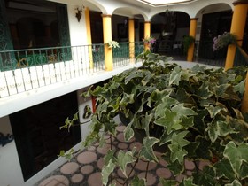 Paraiso Hotel Garden and Spa