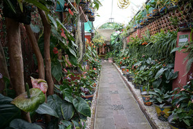 Villa Bonita Les Terrasses