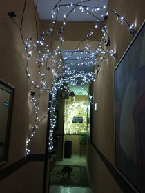 Villas And Suites Paraiso del Sur