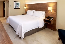 Holiday Inn Express Guadalajara Aeropuerto
