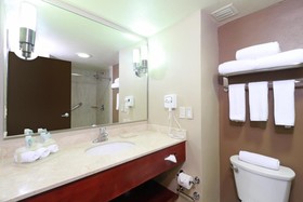 Holiday Inn Express Guadalajara Aeropuerto