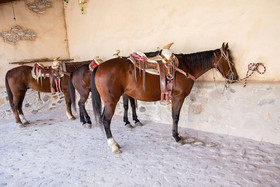 Hotel Centenario Los Arroyitos