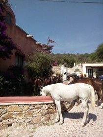 Hotel Centenario Los Arroyitos