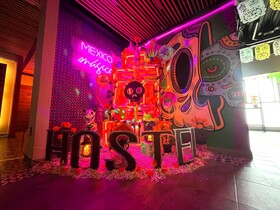 Barrio Downtown Mexico City Hostel