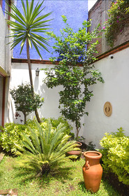 Casa Coyoacan
