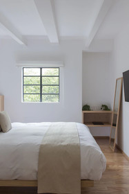 Casa Decu
