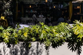 Casa Hedera