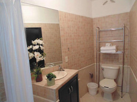 Satya Suites & Portal San Angel Flats