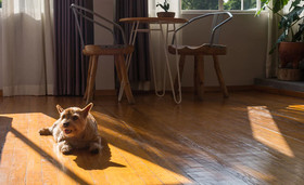 Chaya B & B Boutique