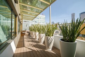 City Express Suites by Marriott Ciudad de México Anzures