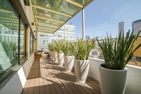City Express Suites by Marriott Ciudad de México Anzures