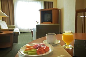 Fiesta Inn Ecatepec