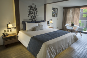 FlowSuites Condesa