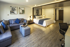 FlowSuites Condesa