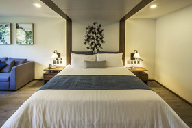 FlowSuites Condesa