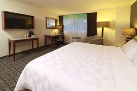 Holiday Inn Ciudad de Mexico Trade Center