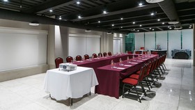 Holiday Inn Mexico Buenavista