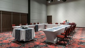 Holiday Inn Mexico Buenavista