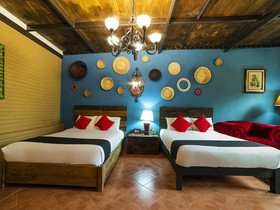 Coyotito Beds San Angel, Suites con Encanto