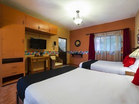 Coyotito Beds San Angel, Suites con Encanto