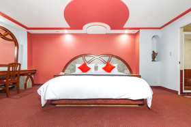 Hotel Estrella de Oriente by OYO Rooms