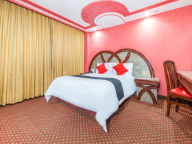 Hotel Estrella de Oriente by OYO Rooms