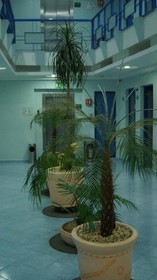 Hotel Muy-Adults-Only