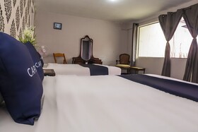 Hotel Singular