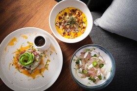 Kimpton Virgilio Polanco