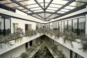 Kimpton Virgilio Polanco