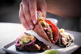 Kimpton Virgilio Polanco