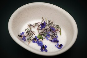 Kimpton Virgilio Polanco