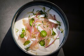 Kimpton Virgilio Polanco