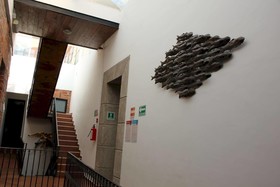 Mexico City Hostel