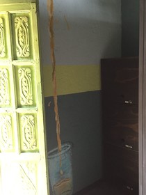 Mexiqui Zocalo Hostel