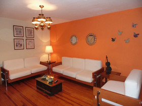 Coyotito Beds Coyoacan