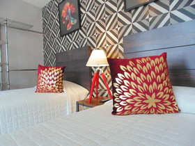 Coyotito Beds Coyoacan