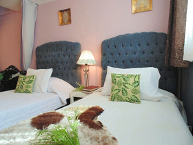 Coyotito Beds Coyoacan